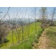 FARMHOUSE TO RENOVATE FOR SALE IN MONTEFIORE DELL'ASO in the Marche in Italy in Le Marche_17